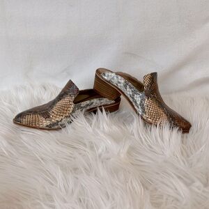 Women’s Snake Print Heeled Slides